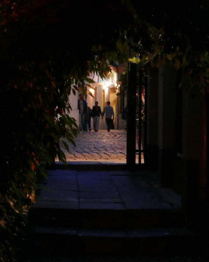 Sunflower Apartment Krasków Εξωτερικό φωτογραφία